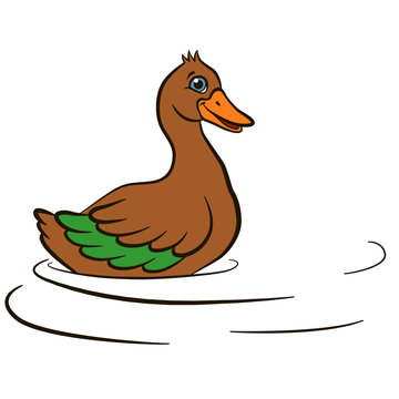 Cartoon birds for kids. Little cute duck swims and smiles. It`s happy.