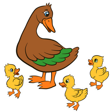 Cartoon birds for kids. Mother duck walks with her three cute little ducklings. They smile.