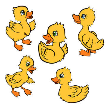 Cartoon birds for kids. Little cute ducklings play and smile. They are happy.