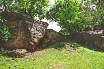 large boulder in shade of trees