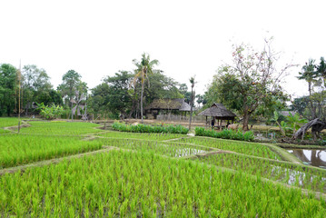 Northen Thai pavilion