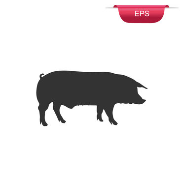 pig, pork, meat, design element, vector illustration