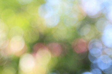 Obraz premium Natural outdoors bokeh background in green and yellow tones bright, beautiful
