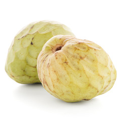 Bullocks or Bulls Heart