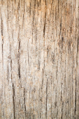 Classic old wooden texture background