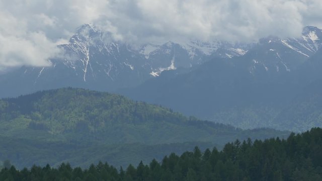 Piatra Craiului Mountans and forest in the distance, in Romania.