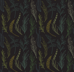 Vector seamless pattern with hand drawn herbs