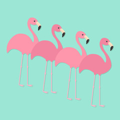 Four pink flamingo set. Exotic tropical bird. Zoo animal collection. Cute cartoon character. Decoration element. Flat design. Blue background. Isolated.