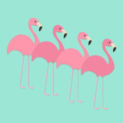 Four pink flamingo set. Exotic tropical bird. Zoo animal collection. Cute cartoon character. Decoration element. Flat design. Blue background. Isolated.