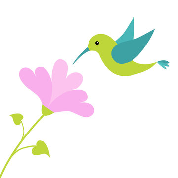 Flying colibri bird and heart flower. Cute cartoon character. Hummingbird. Isolated White background. Baby kids illustration collection. Love greeting card.  Flat design.