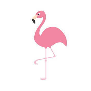 Pink flamingo on one leg. Exotic tropical bird. Zoo animal collection. Cute cartoon character. Decoration element. Flat design. White background. Isolated.