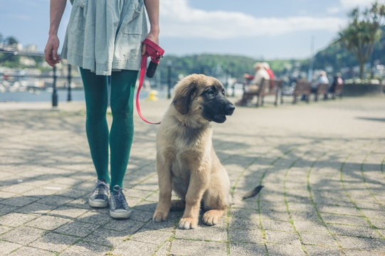 Woman standing in the street with puppy