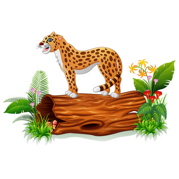 Cartoon cheetah on tree trunk