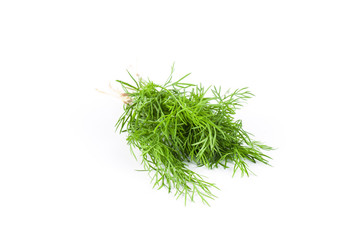 Fresh dill on white