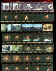 Contact sheet, the old color film positives in a transparent fil