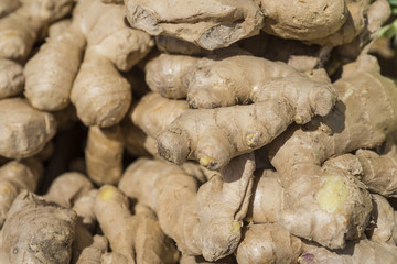 Ginger root at the market