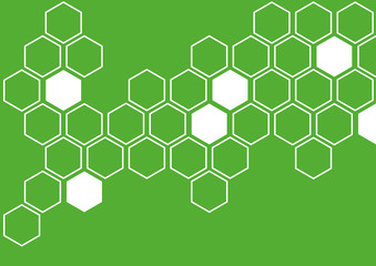 white hexagon eco green background wall pattern