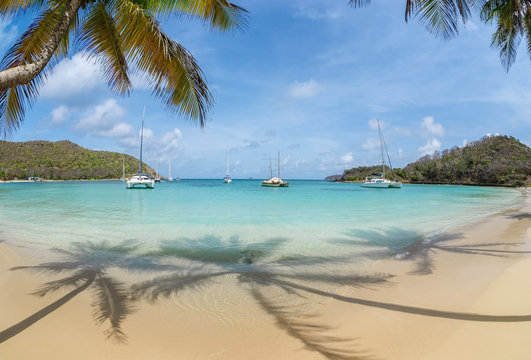 Mayreau - rajska plaża z palmami