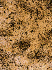 Designed grunge paper texture
