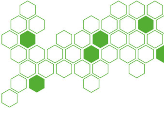 eco green hexagon white background wall pattern