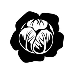 Cabbage head, shade picture