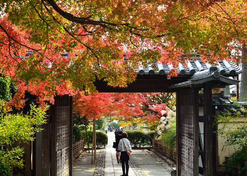 15 Best Ryouanji Images Stock Photos Vectors Adobe Stock 15 Best Ryouanji Images Stock Photos Vectors Adobe Stock