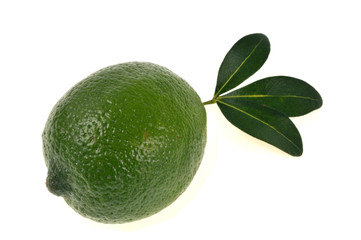 Citron vert