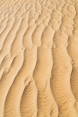 in oman the old   abstract  texture line wave