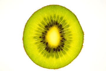 Kiwi fruit キウイフルーツ