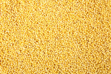 yellow millet close-up view of the texture