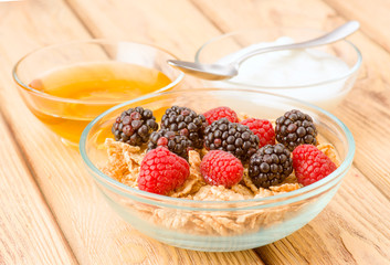 breakfast cereal bowl with berries and yogurt