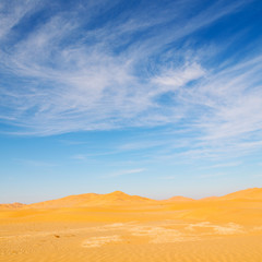 Fototapeta na wymiar in oman old desert rub al khali the empty quarter and outdoor