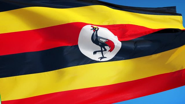 Uganda flag waving in slow motion against clean blue sky, seamlessly looped, close up, isolated on alpha channel with black and white luminance matte, perfect for film, news, digital composition
