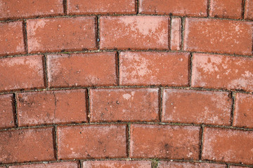 Paving slabs as the background.