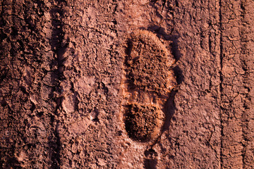 The imprint of the shoe on the muddy dirt road
