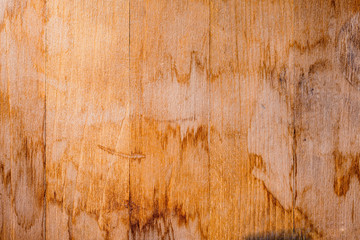 grunge texture of spots on wood Board