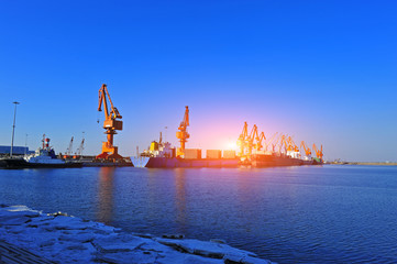 Port crane bridge and bulk carrier