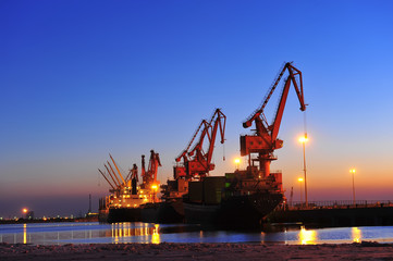 Port crane bridge and bulk carrier