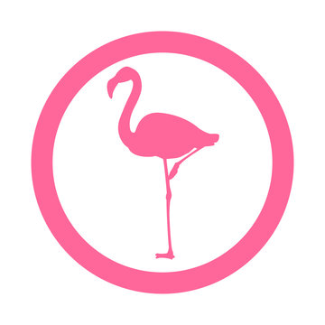 Icono plano flamingo en circulo color rosa