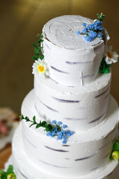 Rustic Cake with birch texture.