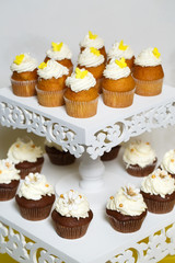 cupcakes on a stand.