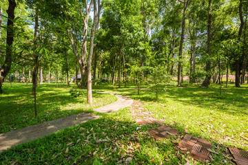 Walkway Lane Path With Green Trees in park.