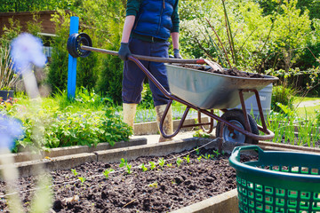 Ein junger Mann arbeitet im Garten