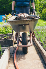 Ein junger Mann arbeitet im Garten