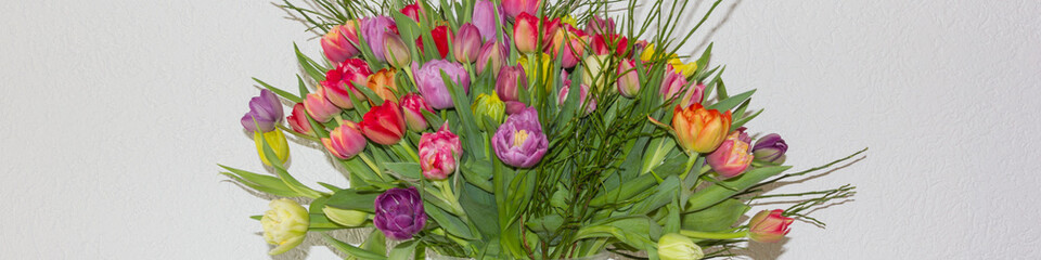 Tulpenstrauß, Längsformat