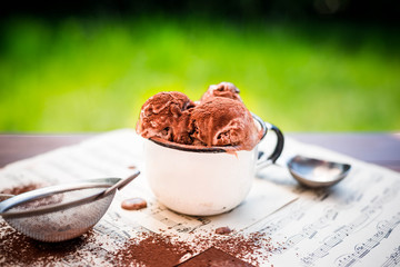 Sweet chocolate ice cream with cocoa powder in vintage bowl and with ice cream spoon.