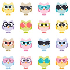 set of colorful owls with sunglasses