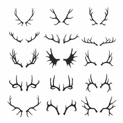 Deer antlers set