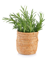 rosemary in basket on white background