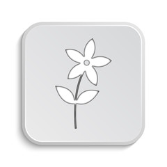 Flower  icon